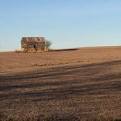 Missy Dodson's photo