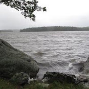 Dianne Newbegin's photo