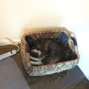 Katherine Coolidge's photo