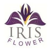 Iris Flower's photo