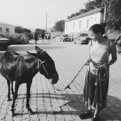 Ipek Kurans foto