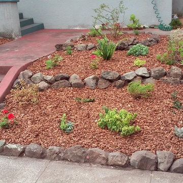 Planting, Drip & Bark in Oakland CA