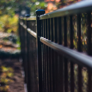 Downtown Greenville Landscape Renovation