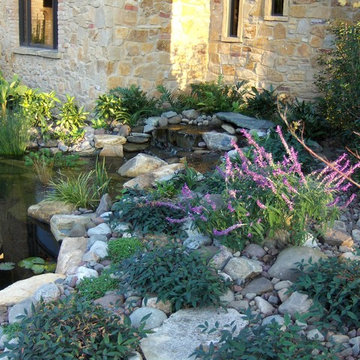 Koi Pond Pre Growth