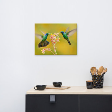 Hummingbirds Little Pink Flowers Animal / Wildlife Photo Canvas Wall Art Print, 18" X 24"