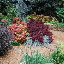 BV1B Garden Ideas