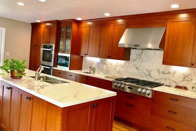 Trendy kitchen photo in San Francisco with an undermount sink, recessed-panel cabinets and an island