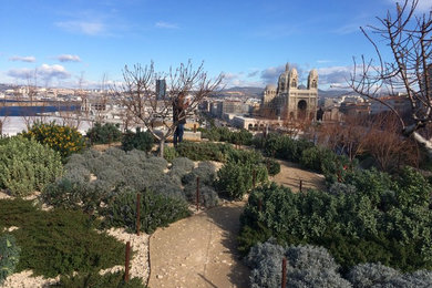 Exemple d'un jardin méditerranéen.