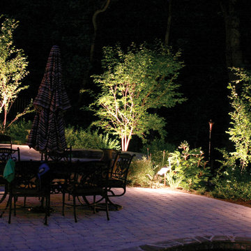 Backyard Lighting St Louis Style!