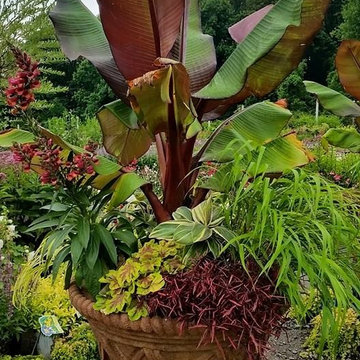 Container Gardens-Denville