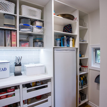 Entertainer's Dream Kitchen