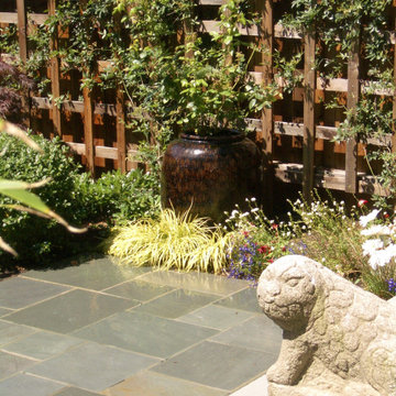 Stone Lion guards the patio