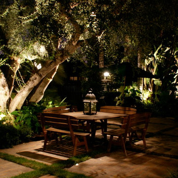 Landscape Lighting - Moonlighting