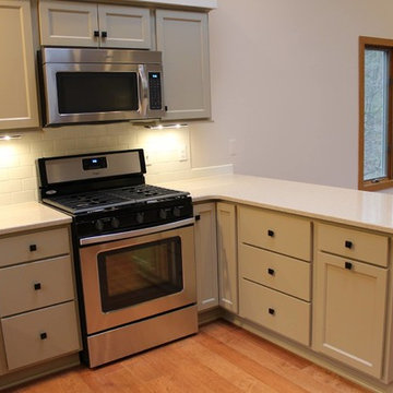 Bridgman Kitchen & Living Room 2016
