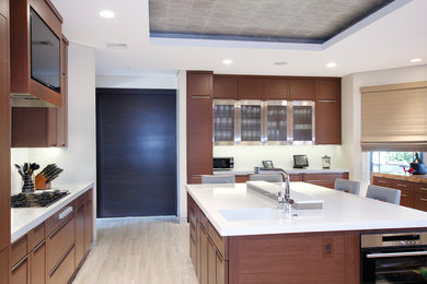 Kitchen - contemporary kitchen idea in New York