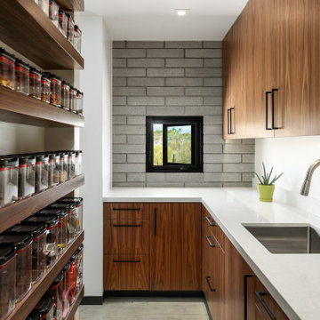 Siegel Residence