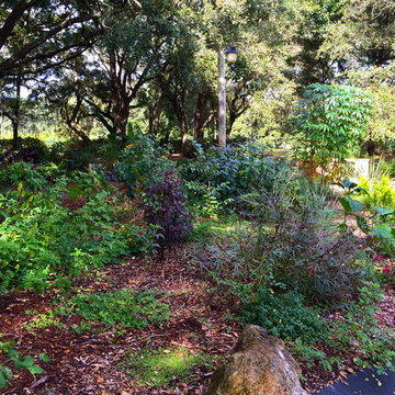 Holistic Farm Site in Spring Hill, FL