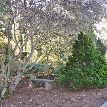 Asian Garden
