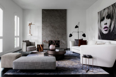 Design ideas for a modern living room in Houston.