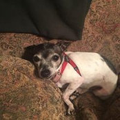 Lisa LaRusso's photo