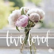 Trish Pierson's photo