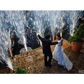 Bernardo Garcia's photo