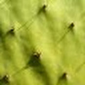 Joel Rosinbum's photo