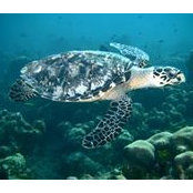 Nanci McGregor's photo