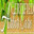 Certified Arbor Care