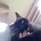 Melissa Beaudoin's photo