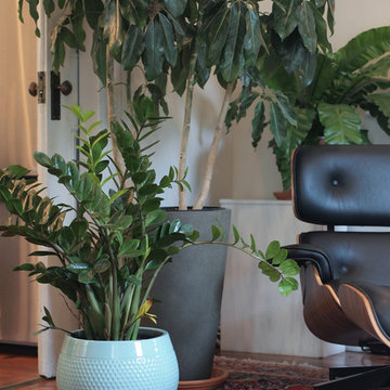 My Houzz: Relaxed Style in an Updated New Orleans Home