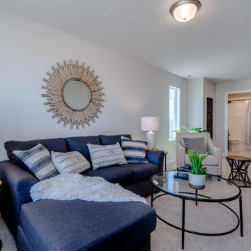 2020 Parade of Homes David Weekley Homes The Cahill