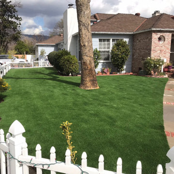 Completed Lawns and Turfs