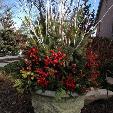 Containers for the Winter Season