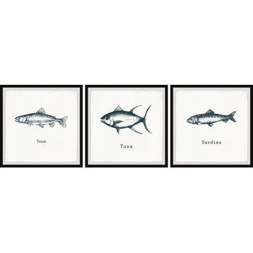 Trout and Tuna Triptych, 3-Piece Set, 18x18 Panels