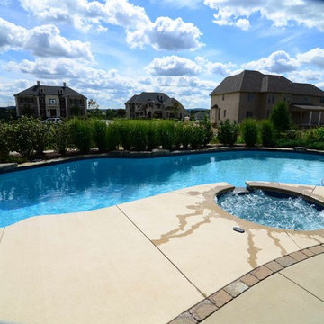 Mountain Lake style salt water in ground pool with Raised Spa