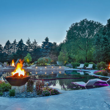Barrington Hills, IL Freeform Perimeter Overflow with Perimeter Overflow Hot Tub