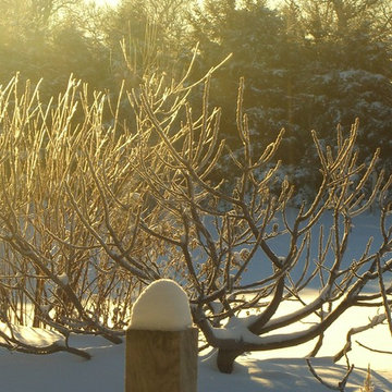 A Garden for Every Season