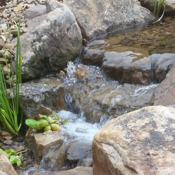 Ponds and Streams