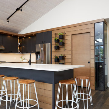 Mountain Modern