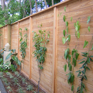 Fencing & Gates