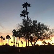 Darryl Hahn's photo