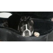 Beki Snyder's photo