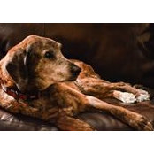 Willis Fitzgerald's photo