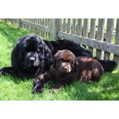 Abigail Levendusky's photo