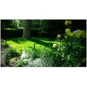 BILL LUDWIG's photo