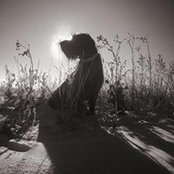 Foto di Bryan Mings