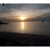 Jean Montgomery Fangsrud's photo