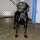 lesley_larimer