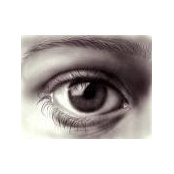 Eliana Cline's photo
